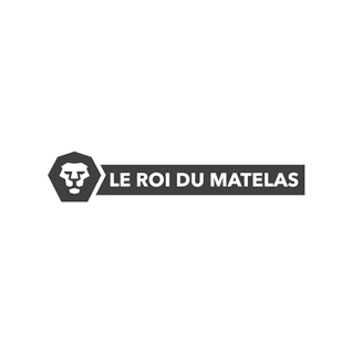 Logo le roi du matelas